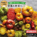 【ふるさと納税】【全12回定期便(月1回)】☆畑直送☆【福岡県糸島産】朝獲れ＊野菜セット(10品前後) オーガニックナガミツファーム [AGE012] 129000円 100000円 10万