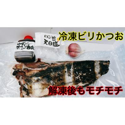 ふるさと納税 南国市 モチモチ食感!冷凍ビリかつおわら焼きタタキ250g×1節(タレ・ニンニク付)