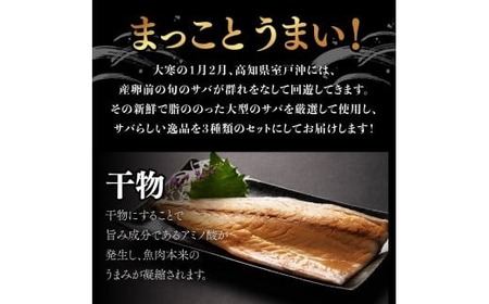 【 定期便 計12回 】 ごちそうサバ3品セット サバ 鯖 さば 片身干物4枚 みりん干し4枚 しめさば2枚 計10枚 冷凍 詰め合わせ 惣菜 ご飯のお供 晩酌 酒の肴 BBQ ギフト 高知県室戸市 