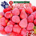 【ふるさと納税】 平群の古都華 冷凍いちご （ ミックスサイズ ）約 1kg or 約 2kg | フルーツ 果物 くだもの いちご 苺 イチゴ 古都華 ことか 冷凍 アイス ミックス スムージー 製菓 材料 奈良県 平群町 扇田農園