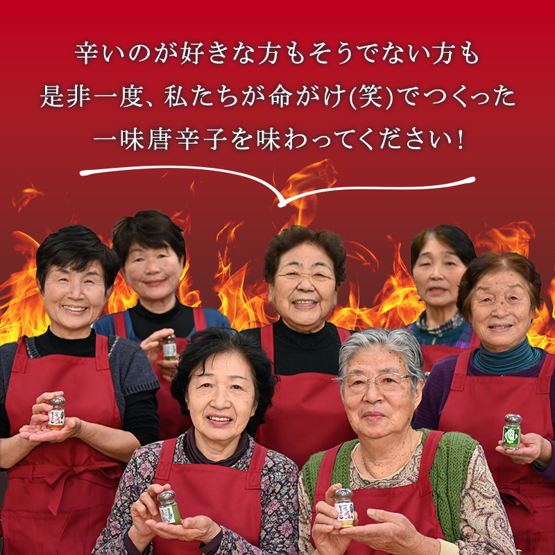 FYN9-528 山形県 西川町産 唐辛子使用！ 月山なんばこ 3種3本セット(激辛・一味・青唐辛子) 調味料 食品 香辛料 スパイス 唐辛子 とうがらし 辛い 手作り 命がけ 山形県 西川町 月山