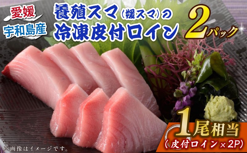 
                  スマ 幻 の 高級魚 養殖スマ（媛スマ）皮付ロイン 2パック こもこもShop ロイン 養殖 刺身 お刺身 お刺し身 刺し身 人気 塩焼き 煮付け アレンジ 新鮮 冷凍 国産 愛媛 宇和島 D024-186011
                