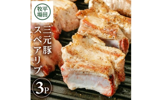豚肉 三元豚 スペアリブ 3パック 485g ブランド豚 豚 骨付き ブロック肉 BBQ グリル ごちそう 食べ応え 満点 小分け カット エサ( 米 お米 国産米 とうもろこし 大豆かす ) 冷凍 煮込み料理 カット済み 便利 平牧 平田牧場 山形 酒田 SA2001