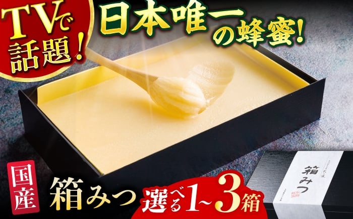 
            【選べる箱数】【先行受付 令和7年12月より発送】箱みつ 1箱～3箱 蜂蜜 はちみつ ハチミツ 高級 濃厚 バター ハニー クリーム 箱蜜 蜂蜜 広川町 / 株式会社九州蜂の子本舗 [AFAI011]
          