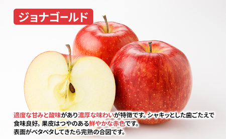 【10月から発送】 りんご 盛岡から「農で人をつなぐ」藤与果樹園： ジョナゴールド 約3kg 6～11玉 玉数指定不可 詰め合わせ 岩手 盛岡