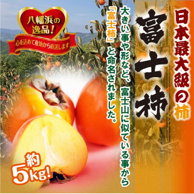 【ふるさと納税】甘さにニッコリ日本最大級の柿「富士柿」約5キロ 【D39-15】_ 柿 カキ かき 果物 くだもの フルーツ 果実 青果 旬 秋の味覚 甘い 5kg 国産 愛媛 産地直送 産直 【配送不可地域：離島・北海道・沖縄県】【1236930】