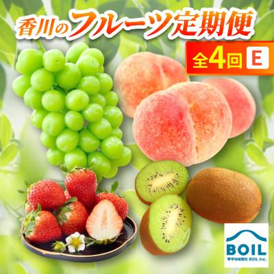 ふるさと納税 香川県 【発送月固定定期便】香川のフルーツ(4E)全4回