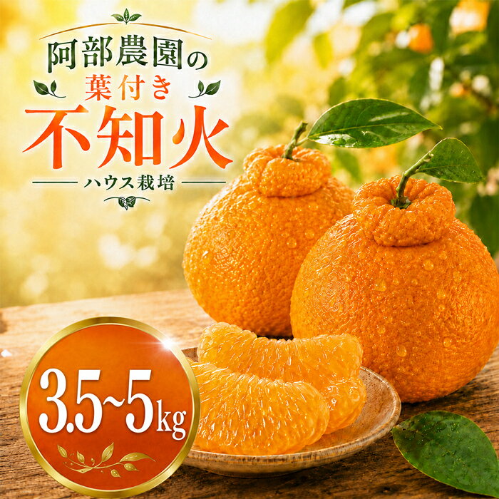 【ふるさと納税】 【先行予約2027発送】ハウス葉付き不知火 3.5kg〜5kg 阿部農園 ／ ミカン 柑橘 不知火 数量限定 3.5kg 5kg フルーツ 果物 先行予約 2月 3月 2月発送 3月発送 ＜112-701＞