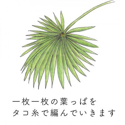 ふるさと納税 高野町 高田耕造商店　紀州棕櫚のハエたたき |  | 02