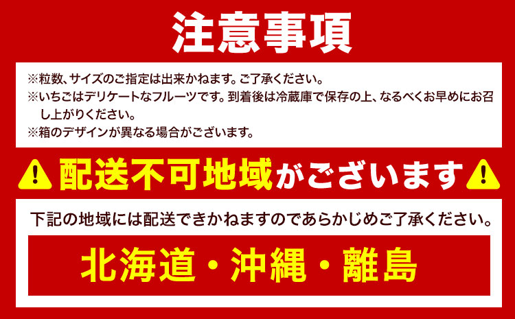 福岡県産 冬あまおう 2パック 南国フルーツ株式会社《12月上旬-1月末頃出荷》福岡県 小竹町 あまおう いちご イチゴ 送料無料【配送不可地域あり】---sc_cnngkam_af12_24_140