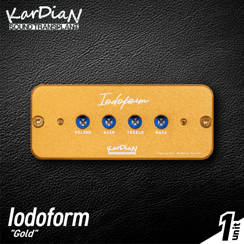 【ふるさと納税】Iodoform Gold ヨードホルム キャラクターモジュール エフェクティブ ブルース ジャズマン ハードロック 2EQ イコライジング ノイズレス サウンド エフェクター エレキ ギター ベース 楽器 アクセサリ 音響機材 お取り寄せ 滋賀県 守山市 送料無料