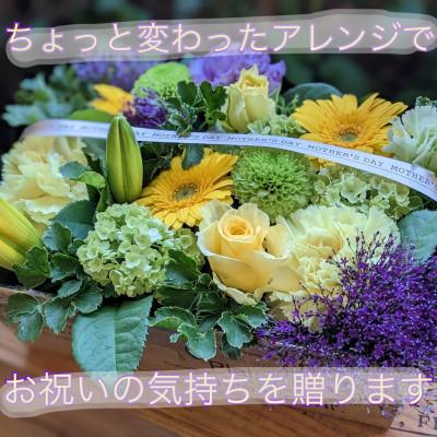 ふるさと納税 水戸市 季節のお任せ生花アレンジ BOX 開店祝い 誕生日 送別などにおすすめ 白グリーン系 |  | 03