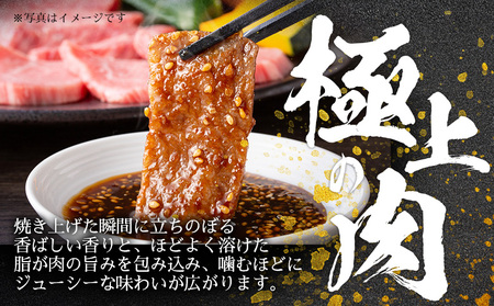 ＜訳あり 宮崎牛 切り落とし焼肉 合計600g＞入金確認後、14営業日以内に順次発送 【 焼肉用 焼き肉 やきにく 訳アリ品 わけあり A5等級 ランク 高級 お肉 和牛 黒毛和牛 ブランド牛 柔らか