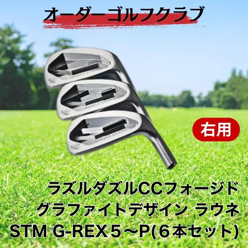 ゴルフ ゴルフクラブ ラズルダズルCCフォージド アイアンセット グラファイトデザイン ラウネ オーダーメイド アイズファクトリー｜F39