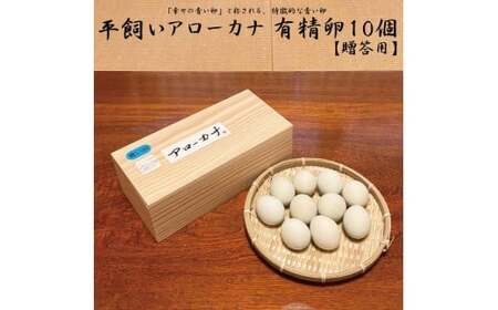 【徳島県産 卵】10個 卵 鶏 アローカナ 鶏卵 最強のTKG 高級 しあわせの青い卵 平飼い 採れたて 希少 国産 ( たまご 卵 タマゴ 玉子 エッグ 卵かけご飯 TKG ゆで卵 卵焼き オムライス オムレツ 料理  鶏 ニワトリ 人気 こだわり 四国 徳島 ふるさと納税 幸せ 青 栄養素 ビタミン 有精卵 濃厚  新鮮【送料無料】