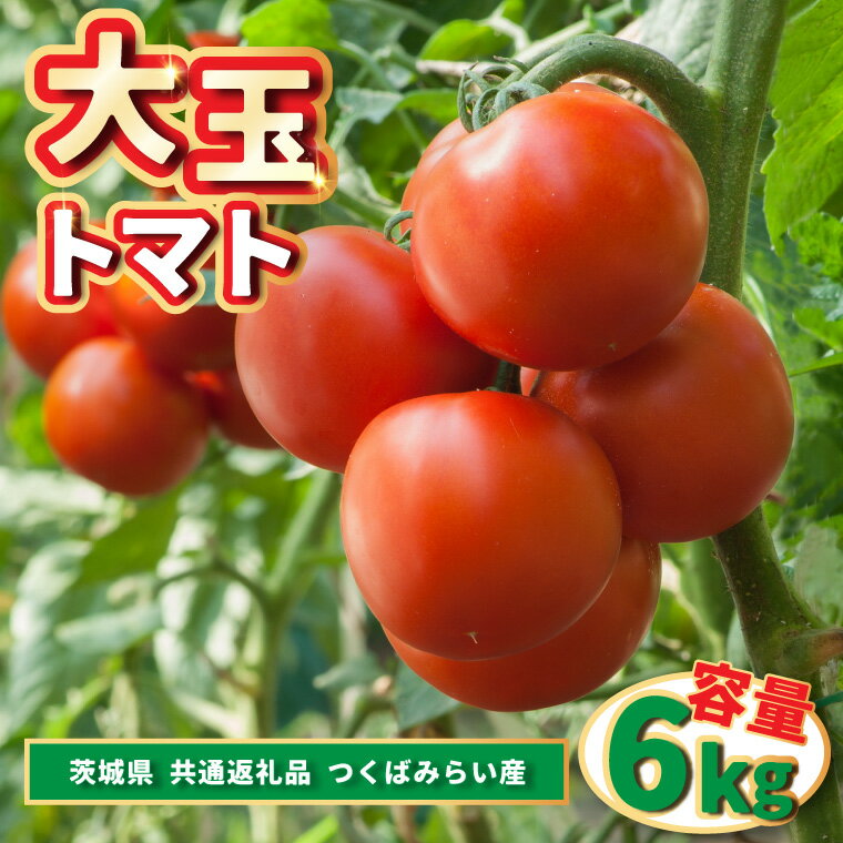 【ふるさと納税】大玉トマト　　6kg 　　(県内共通返礼品:つくばみらい市産)【配送不可地域：離島・沖縄県】 (BR094)