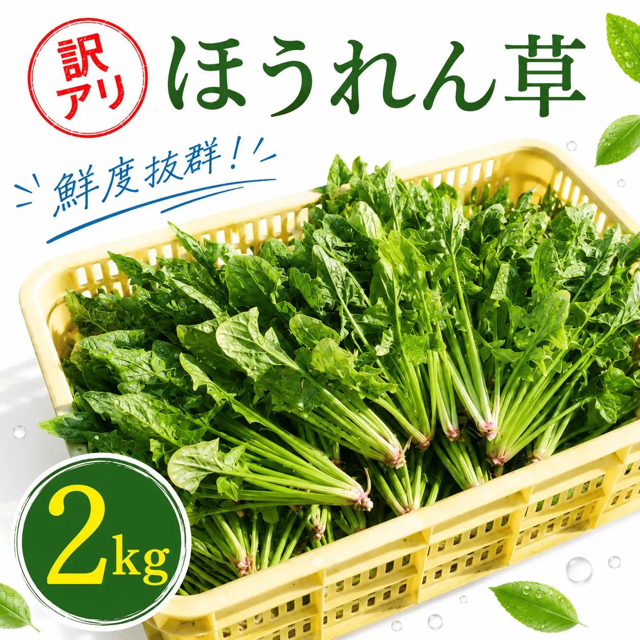 【先行予約】ほうれん草 200g×10袋 ほうれん草 ほうれんそう