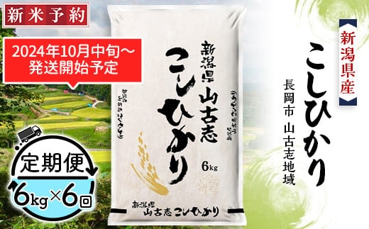 
75-AY066【6ヶ月連続お届け】新潟県長岡産コシヒカリ山古志地域棚田米6kg
