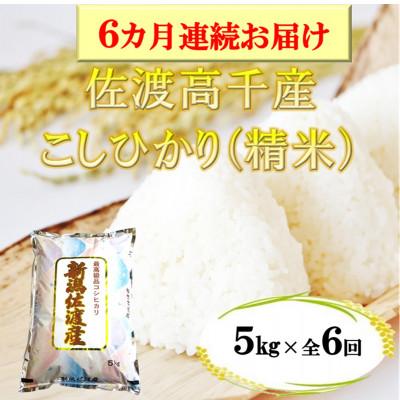 ふるさと納税 佐渡市 【毎月定期便】佐渡産こしひかり 5kg(精米)全6回
