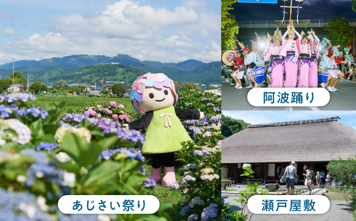 ガトーショコラ