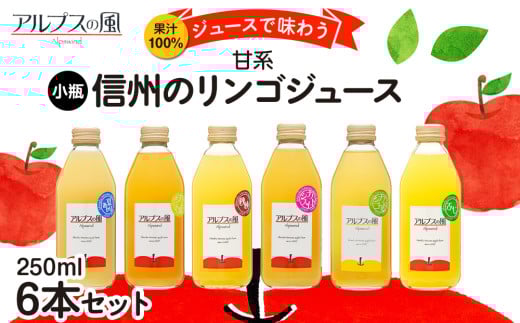 果汁100％ジュースで味わう 信州のりんご 甘系 小瓶 6本 セット 250ml 6本 セット 詰め合わせ りんごジュース 林檎ジュース ミックスジュース 信州りんご 信州りんごジュース りんご100 100％ジュース 果汁飲料 飲料 飲み物 長野 長野県 箕輪町[№5675-1127]