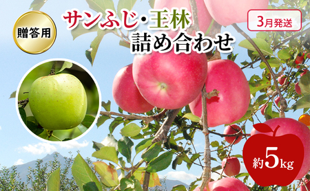 りんご 【 3月発送 】 糖度13度～贈答用 サンふじ ・ 王林 詰め合わせ 約 5kg