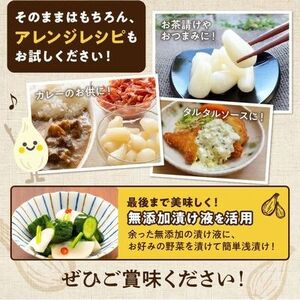 017-05 鹿児島県産砂丘らっきょう塩漬け1.8kg