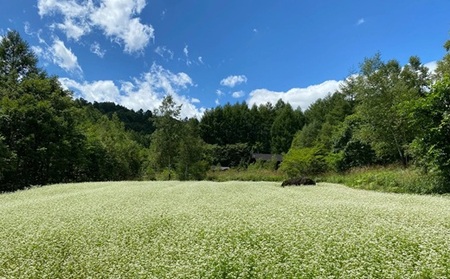 十割そば 乗鞍番所在来（のりくらばんどころざいらい） 乾麺 20袋セット 1416
