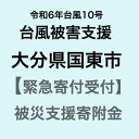 【ふるさと納税】【令和6年台風10号被害支援緊急寄附受付】大分県国東市災害応援寄附金（返礼品はありません）