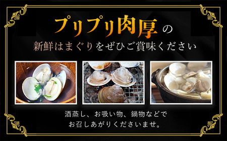 天然はまぐり 1kg 九十九里産 新鮮なまま真空冷凍500g＋加熱調理のうえ真空冷凍500g SMAJ017