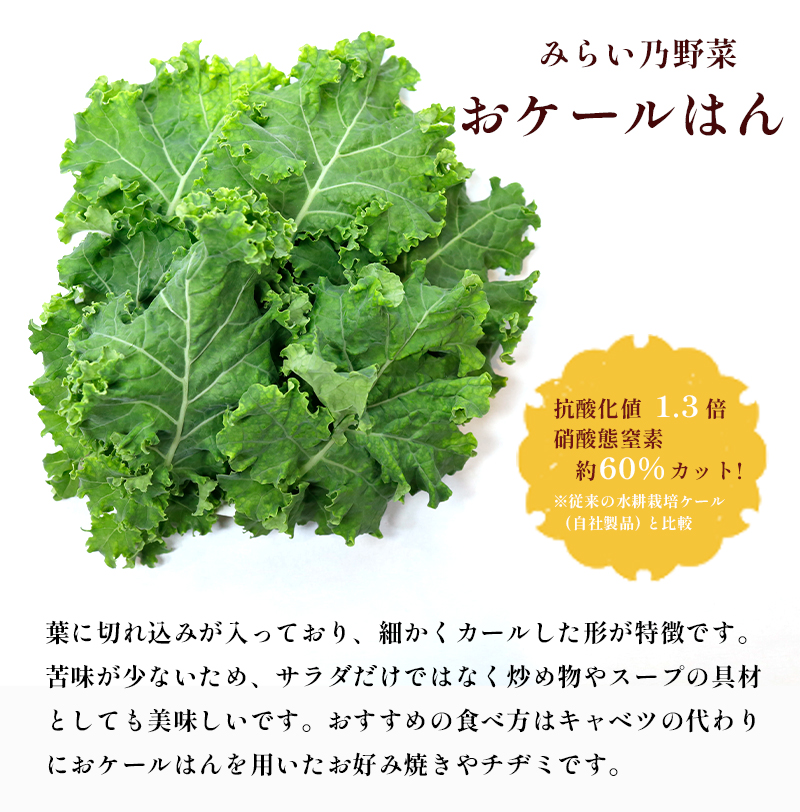 みらい乃野菜 はんなりレタス 10袋 + おケールハン 2袋 12袋 720g 野菜 袋入 水耕栽培 野菜 れたす レタス ケール けーる 葉物 サラダ 高抗酸化値 低硝酸態窒素 小分け 小袋 そのま