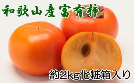 果物 フルーツ かき 旬 / ［厳選・産直］和歌山産の富有柿約2kg（化粧箱入り）（2L～4Lサイズ）※2024年11月上旬～2024年12月上旬頃に順次発送【tec406A】