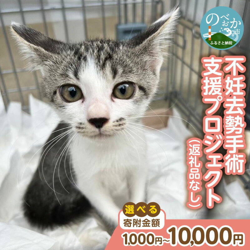 【ふるさと納税】人と猫が互いに幸せになれるまちを目指して『不妊去勢手術支援プロジェクト』（返礼品はありません）