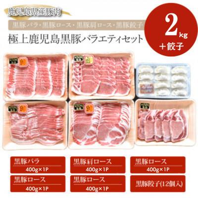 ふるさと納税 鹿屋市 鹿児島黒豚 バラエティ セット 【和田養豚】 991-1
