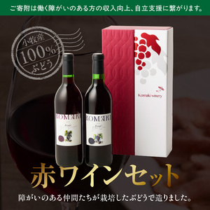 小牧ワイナリ― 赤ワイン２本飲み比べセット（小牧産ぶどう100％使用） ワイン 軽口ワイン 葡萄 ぶどう ブドウ ヤマ・ソービニオン ブラック・クイーン 国産 酒 飲料 アルコール ギフト 贈り物 贈