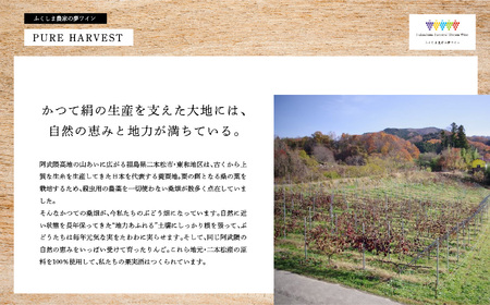 夢ワインのおすすめ3本セット 250ml×3本【ふくしま農家の夢ワイン】