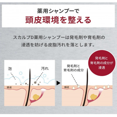 スカルプD　薬用スカルプシャンプー　ドライ [乾燥肌用]|シャンプー メンズ 薬用 ヘアケア