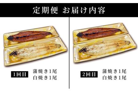 【到着日指定可能】蒲焼き白焼き◆紅白◆食べ比べ【2回定期便】焼きたて冷蔵直送！！YS0011