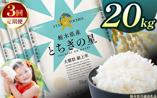 【定期便3回】栃木県産とちぎの星 20kg | 2025年 2025年米 令和7年米 秋 白米 ごはん ご飯 小分け 人気 おいしい 旨い おにぎり おむすび お弁当 限定 栃木県共通返礼品 栃木県 下野市 送料無料