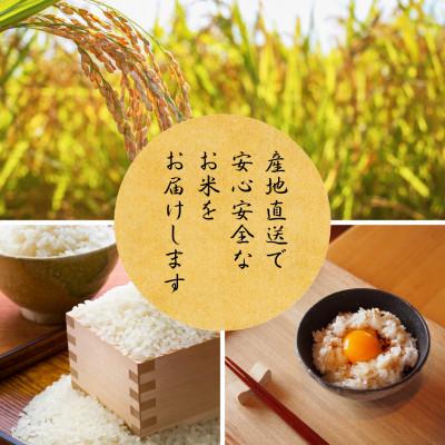 ふるさと納税 南丹市 令和7年産 京都丹波産 コシヒカリ 10kg |  | 02