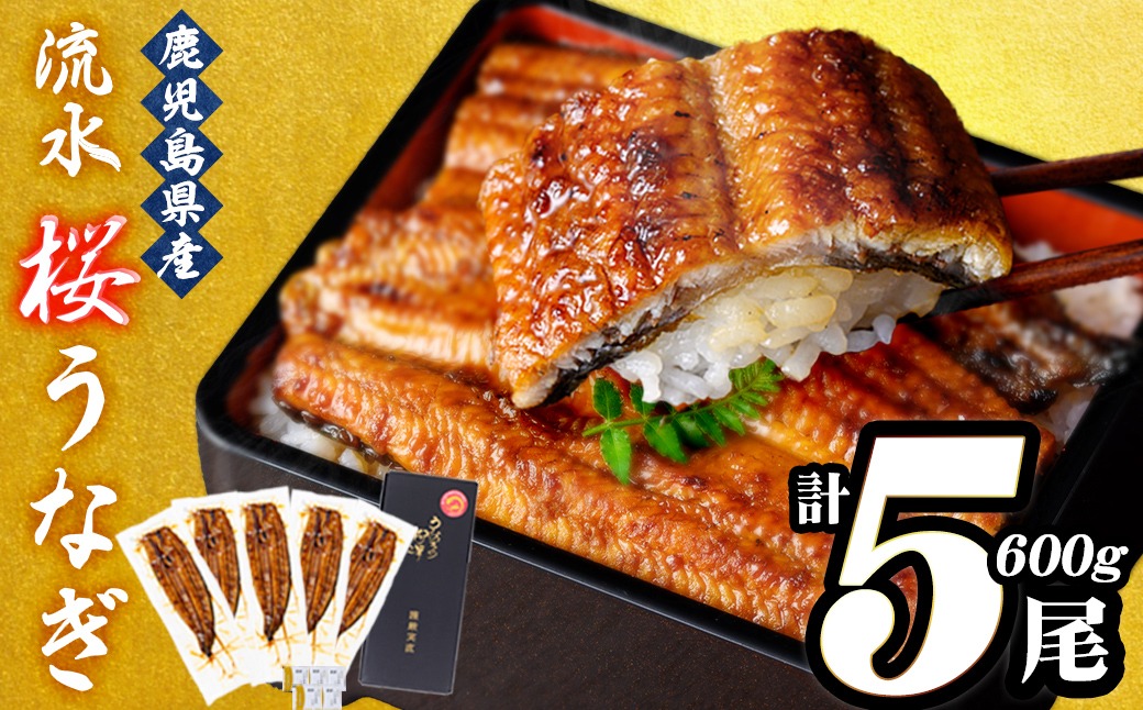 うなぎの柳澤 流水桜うなぎの蒲焼き 計5尾＜計600g＞  a9-040