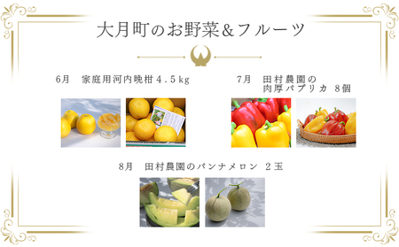 【定期便 10回】旬のお野菜 フルーツ セット 新鮮 産地直送 果物 健康志向 ギフト 柑橘 いちご