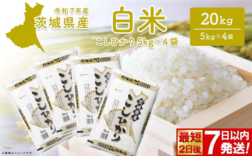 
                  ◎最短2日後発送◎ コシヒカリ 20kg (5kg×4袋) 茨城県産 米 小分け 2025年産 スピード便 コシヒカリ 【令和7年産/白米】 K2704
                