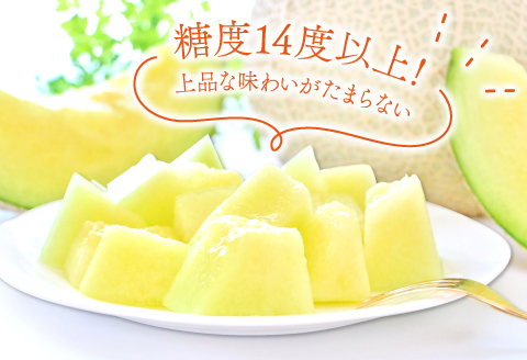 A-16 アールスメロン　秀品　大玉1玉【秋作】