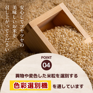 【定期3回】令和7年度 栃木県産こしひかり（玄米）約2kg 