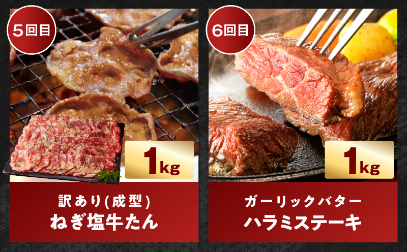 わくわくお肉定期便 全6回 合計7kg【ハラミ 牛たん 豚トロ 焼肉 BBQ やきにく ファミリー 定期便】 099Z575_イメージ5