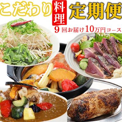 ふるさと納税 室戸市 海土がお届けする定期便(9回発送)　10万円台コース