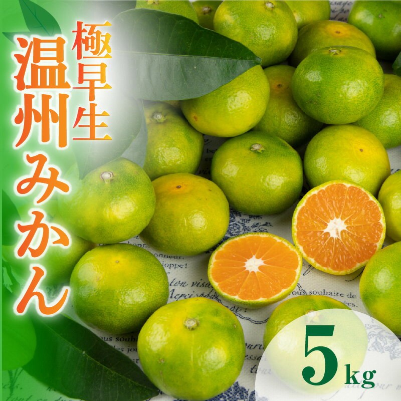 【ふるさと納税】【高評価★5.00 高レビュー★】【期間限定】温州みかん 極早生 5kg JA南紀 三重ブランド認定 高品質 光センサー選別 秋発送