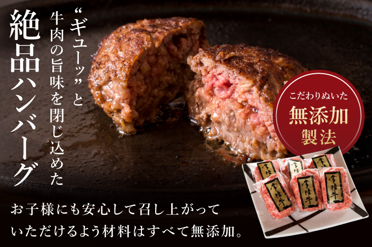 ハンバーグ 肉 5個 セット ギフト 誕生日プレゼント 食べ物 冷凍 小分け 焼くだけでレストランの味 黒毛和牛 常陸牛 常陸牛100%無添加・手捏ねハンバーグ5個入り 100g 茨城県 水戸市 ※離