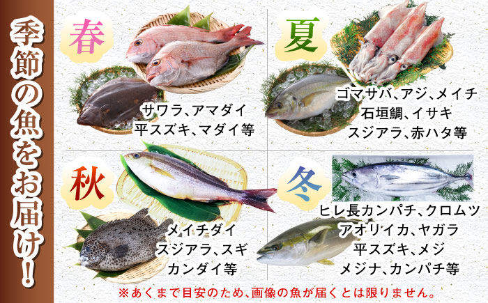 【五島列島・直送】朝獲れ！高級鮮魚セット4kg 五島市 / 鯛福丸水産 [PDP003]